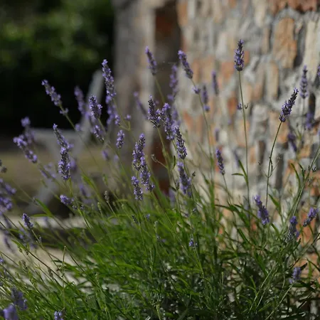 Secluded Fisherman's Cove Zizanj, Pasman - 23925