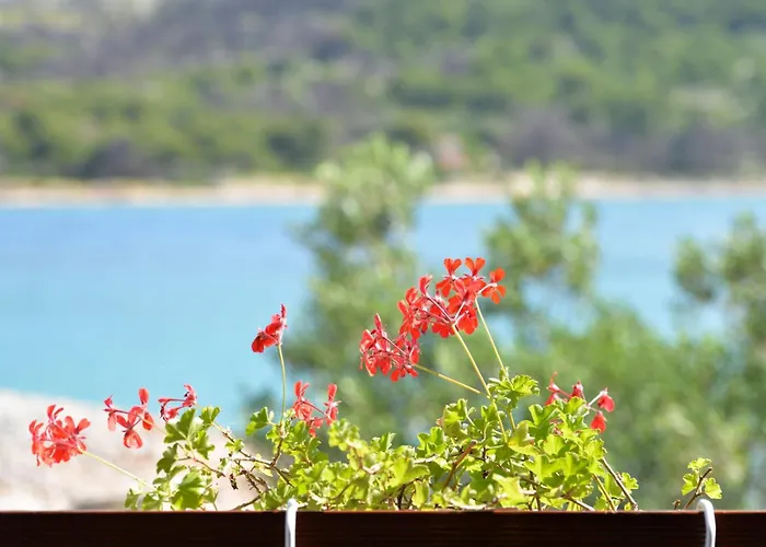 Secluded Fisherman's Cove Zizanj, Pasman - 23925 펜션 트콘