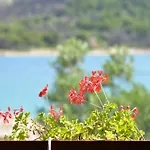 Secluded Fisherman's Cove Zizanj, Pasman - 23925 בית נופש טקון