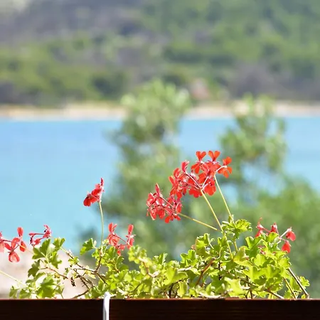 Secluded Fisherman's Cove Zizanj, Pasman - 23925 Vikendica Tkon