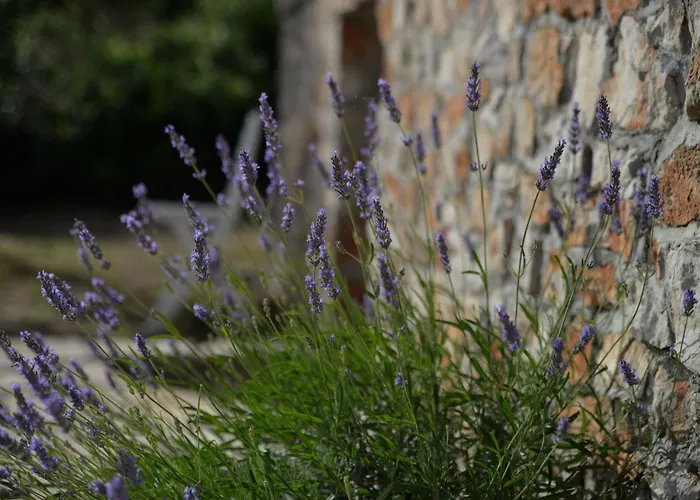 Secluded Fisherman's Cove Zizanj, Pasman - 23925